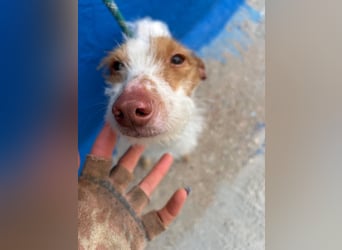 Black, hatte keine schöne Vergangenheit