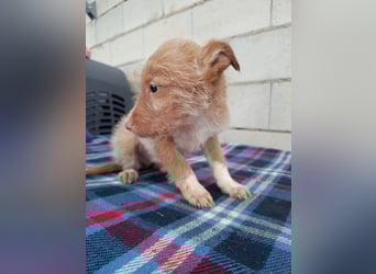 Carlos, bringt gute Laune ins neue Heim