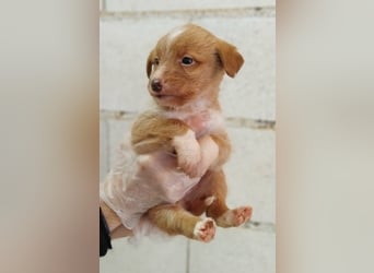 Carlos, gute Laune garantiert