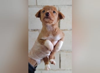 Bianca, kleines Mädchen sucht ihr Glück