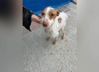 Black, hatte keine schöne Vergangenheit