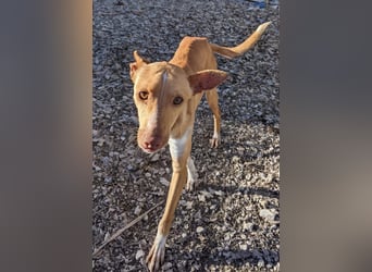 April, vorsichtig und noch schüchtern