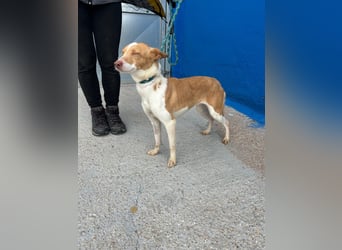 Nayra, freundlich und menschenbezogen