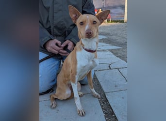 April, vorsichtig und noch schüchtern