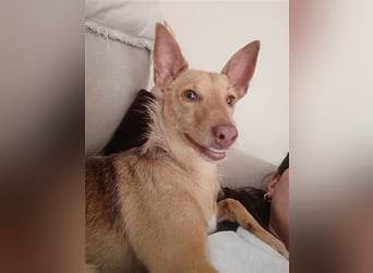 Topoyiyo- liebes Kuschelmonster möchte umziehen