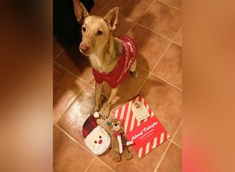 Topoyiyo- liebes Kuschelmonster möchte umziehen