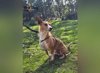 Vincent - Lieb, Fröhlich & Lustig