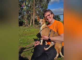 Vincent - Lieb, Fröhlich & Lustig