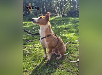 Vincent - Lieb, Fröhlich & Lustig