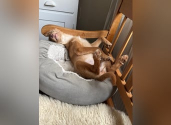 Ada, klein wild frech und wunderbar