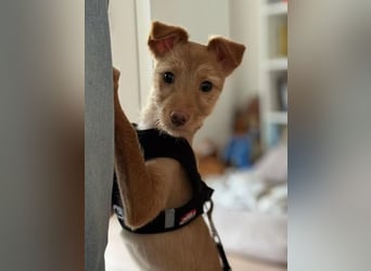 Ada, auf Familiensuche