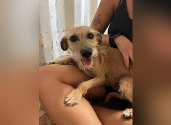 Kleine Tina sucht ihr großes Glück ❤️