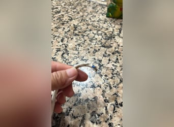 Kleine Tina sucht ihr großes Glück ❤️