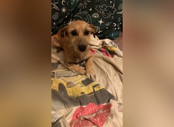 Kleine Tina sucht ihr großes Glück ❤️
