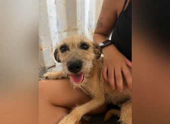Kleine Tina sucht ihr großes Glück ❤️