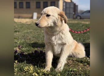 Tessa ein zartes Wesen