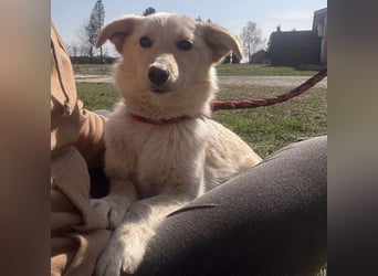 Tessa ein zartes Wesen