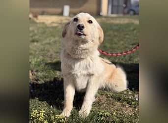 Tessa ein zartes Wesen