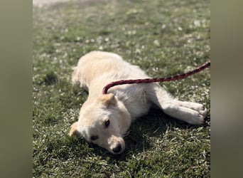 Tessa ein zartes Wesen