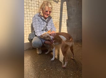 MARTINA-kleine Prinzessin mit sonnigem Herzen sucht ihre Für-immer-Familie