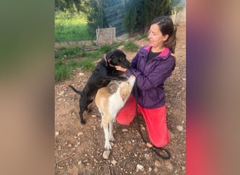 TAPI-wundervoller, junger Bub mit einem großen Herzen sucht seine liebevolle Für-immer-Familie