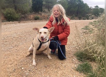 GARBI-zarte Seele möchte endlich in einem liebevollen Für-immer-Zuhause ankommen