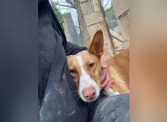 MARTINA-kleine Prinzessin mit sonnigem Herzen sucht ihre Für-immer-Familie