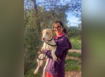 TAPI-wundervoller, junger Bub mit einem großen Herzen sucht seine liebevolle Für-immer-Familie