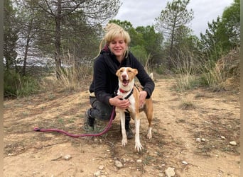 MARTINA-kleine Prinzessin mit sonnigem Herzen sucht ihre Für-immer-Familie