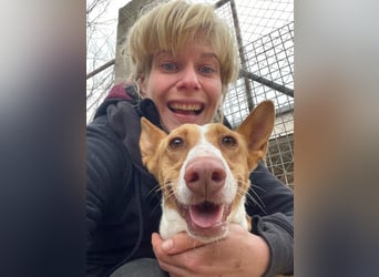 MARTINA-kleine Prinzessin mit sonnigem Herzen sucht ihre Für-immer-Familie