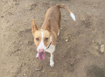 MARTINA-kleine Prinzessin mit sonnigem Herzen sucht ihre Für-immer-Familie