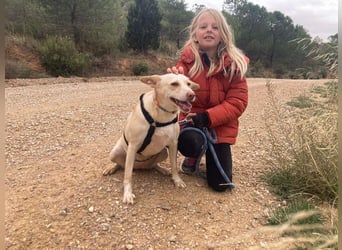 GARBI-zarte Seele möchte endlich in einem liebevollen Für-immer-Zuhause ankommen