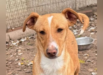 ROBE-gute-Laune-Paket wünscht sich sehnlichst ein liebevolles Zuhause!