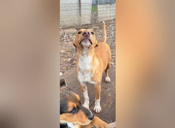 ROBE-gute-Laune-Paket wünscht sich sehnlichst ein liebevolles Zuhause!