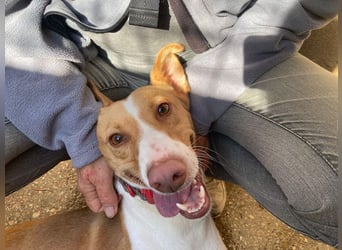 MARTINA-kleine Prinzessin mit sonnigem Herzen sucht ihre Für-immer-Familie