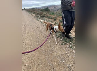 MARTINA-kleine Prinzessin mit sonnigem Herzen sucht ihre Für-immer-Familie