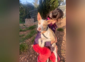 TAPI-wundervoller, junger Bub mit einem großen Herzen sucht seine liebevolle Für-immer-Familie