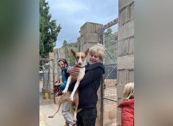 MARTINA-kleine Prinzessin mit sonnigem Herzen sucht ihre Für-immer-Familie