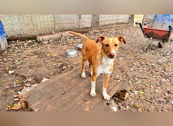 ROBE-gute-Laune-Paket wünscht sich sehnlichst ein liebevolles Zuhause!