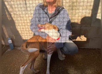 MARTINA-kleine Prinzessin mit sonnigem Herzen sucht ihre Für-immer-Familie