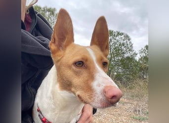 MARTINA-kleine Prinzessin mit sonnigem Herzen sucht ihre Für-immer-Familie