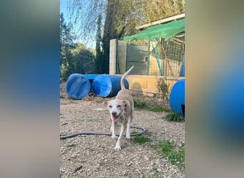 TAPI-wundervoller, junger Bub mit einem großen Herzen sucht seine liebevolle Für-immer-Familie