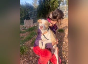 TAPI-wundervoller, junger Bub mit einem großen Herzen sucht seine liebevolle Für-immer-Familie