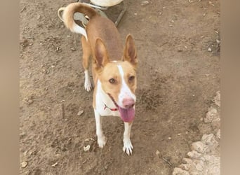 MARTINA-kleine Prinzessin mit sonnigem Herzen sucht ihre Für-immer-Familie