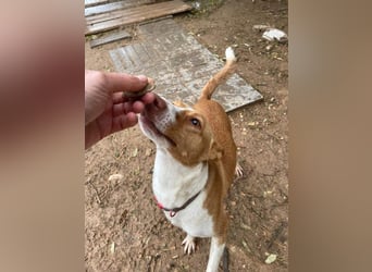 MARTINA-kleine Prinzessin mit sonnigem Herzen sucht ihre Für-immer-Familie