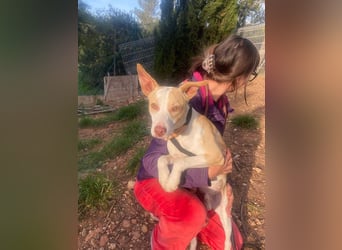 TAPI-wundervoller, junger Bub mit einem großen Herzen sucht seine liebevolle Für-immer-Familie