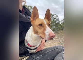 MARTINA-kleine Prinzessin mit sonnigem Herzen sucht ihre Für-immer-Familie