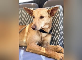 Thelma (Spanien) – eine ausgeglichene Seele sucht ihr Glück