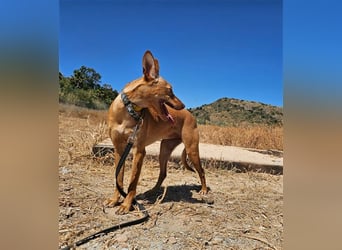 Harmony (Spanien) - der nächste Schritt zum glücklichen Leben