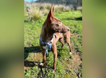 Moana (Spanien) - bedeutet Meer, weites Wasser, Brise über dem Ozean